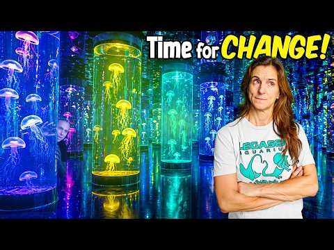 This Jellyfish Museum Made Me Rethink Everything..