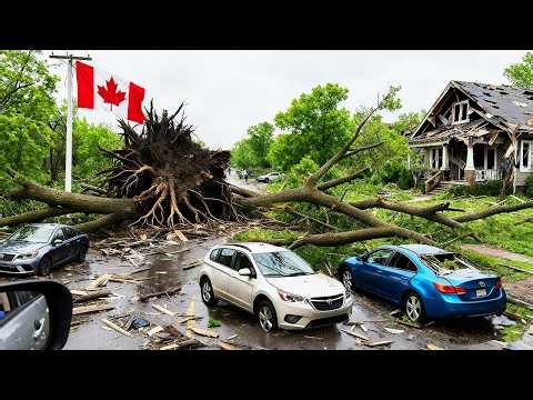 London, Ontario Hit by Powerful Storms !🌪️ Trees Uprooted, Power Outages & Widespread Destruction