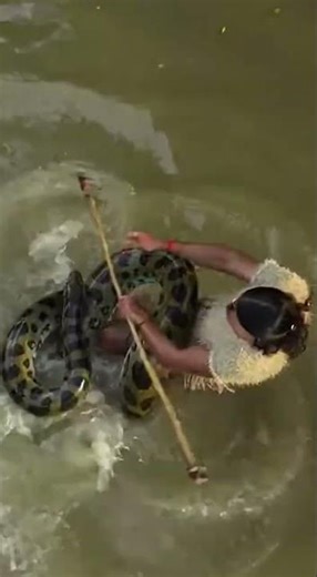 Massive Anaconda Attacks Tribal Hunter #anaconda #snakeattack #jungle #wildlife