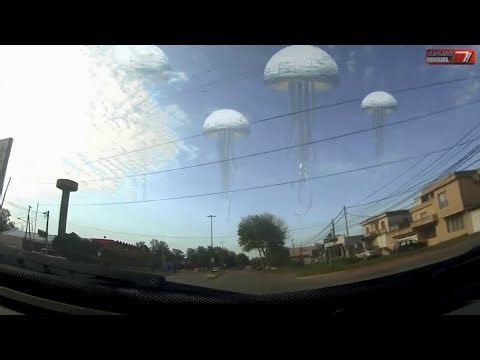 This Is How an Alien Invasion Would Really Look (Found Footage)