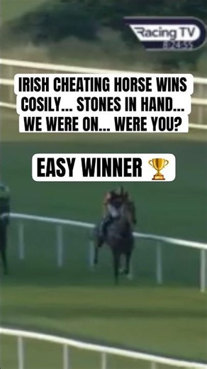 🥇 WATCH THE IRISH INFO 🐎 WIN AT LEOPARDSTOWN! CHRIS HAYES LOVELY RIDE!ALL CLIENTS HAD IT OFF!