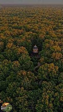 Abandoned Watchtower Became a Stunning Luxury Home 🗼🏡❤️ | Amazing AI Transformation #viral #shorts