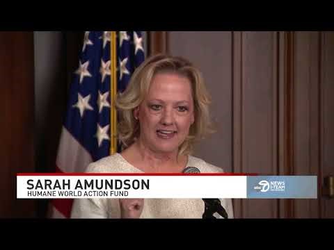 Historic move by EPA to end animal testing by 2035