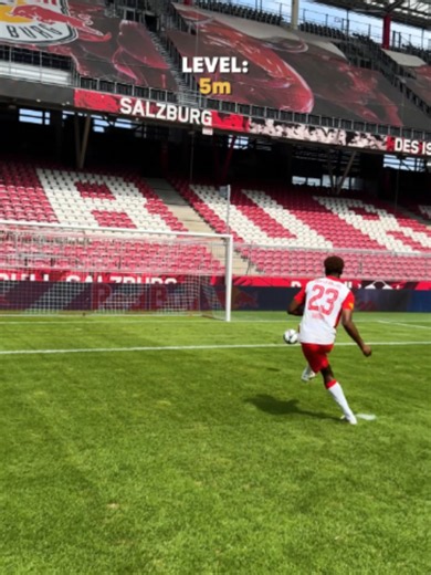top bins 🤝 top of the stadium ⚽️: @fcredbullsalzburg #redbull #givesyouwiiings #energydrink #football #soccer