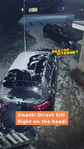 Snowball Prank Gives Dad an Icy Reality Check