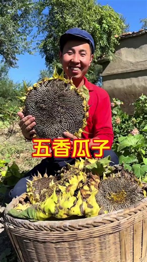 Innovative Cooking Solutions for Busy Lives