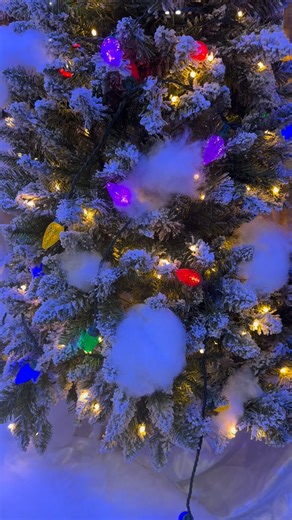 Every Christmas season, Petals Floral Design & Gifts produces a spectacular front window display for the community to enjoy. This December, we are truly living in a winter wonderland! ❄️✨❄️ | Wildwood 365