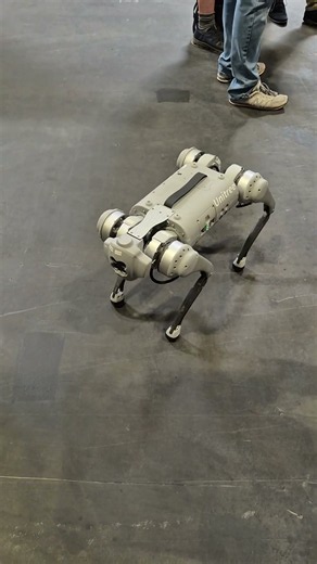 Robot Dog Shows Off Playful Moves