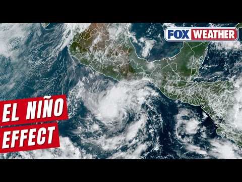 Exclusive Analysis: Developing El Niño Likely To Boost Eastern Pacific Hurricane Activity In 2026