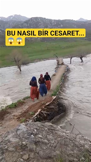 Şırnak'ta Bir Dere ve Köprü 😱 #doğalyaşam #nature #köprü #dere #yağmur #sel #doğa #şırnak #dağlar