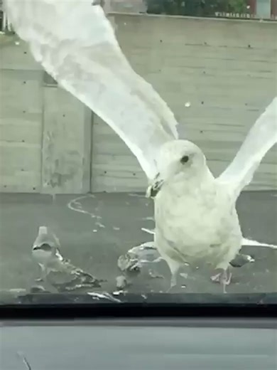 Unique Ways to Celebrate Pi Day