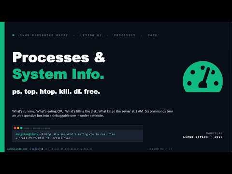 Linux Processes & System Info - Lesson 05: ps, htop, kill, df, free