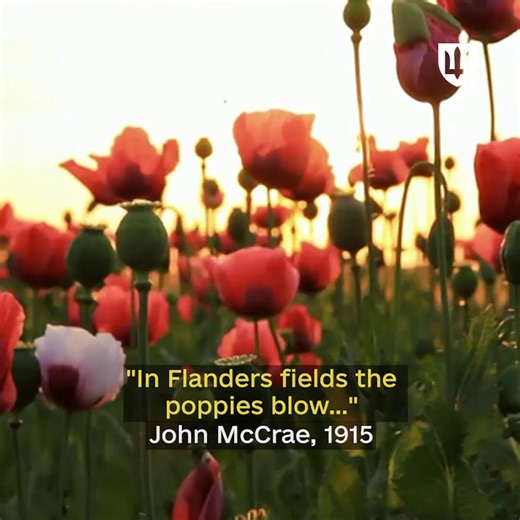 Today we commemorate the Day of Remembrance and Victory over Nazism.We bow our heads in honor of all who fought to defeat Nazism and restore freedom to Europe. Eternal gratitude to the heroes. Eternal memory to the innocent victims of World War II.We remember. We honor. We continue to defend freedom.