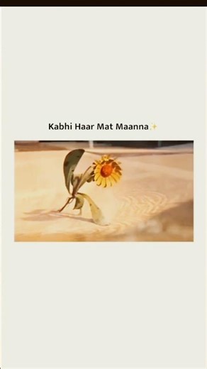 Kabhi Haar Mat Maanna😇✨