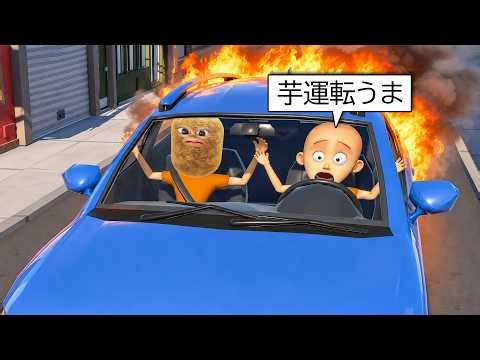 妹に運転を教える芋.. (ブチギレ)