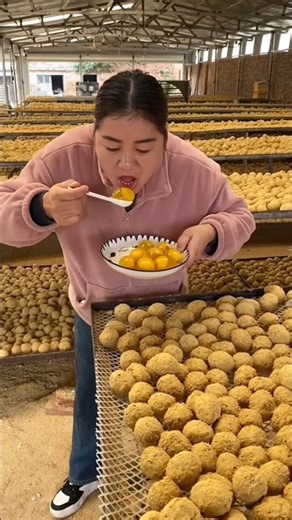 Yummy half boiled eggs 🥚🥚| Amazing egg boiling factory 🏭 #egg #amazing #foodie