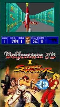 Wolfenstein 3D X Street Fighter (MS-DOS, 1993)