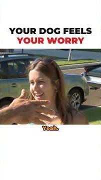Your Dog Feels Your Worry