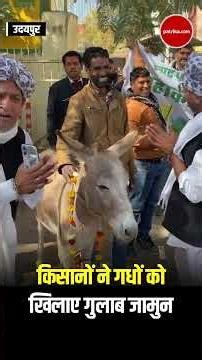 Udaipur में किसानों ने गधों को खिलाए गुलाब जामुन,अनोखा विरोध। Farmers Protest। Fertilizer Issue