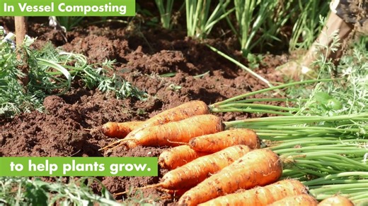 Did you know Watford’s food waste is recycled in different ways depending on the week? 🍎♻️ Watch this video to find out more about anaerobic digestion and in-vessel composting, and how your food waste is put to good use 🌱 Veolia - UK | Watford Council