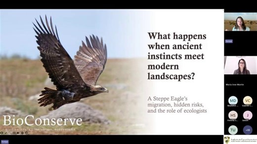 DDCR Webin: A Steppe Eagle s migration across ecosystems, cities, and hidden risks by Sonya Benjamin | Sonya Benjamin