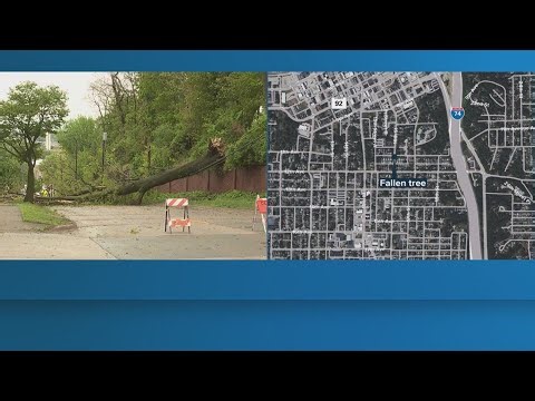 Tree downs power lines, closes part of 16th Street in Moline