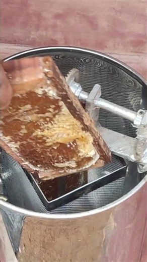 "Honey Extraction ASMR: Uncapping, Spinning & Pure Gold Pour!"#honey #food