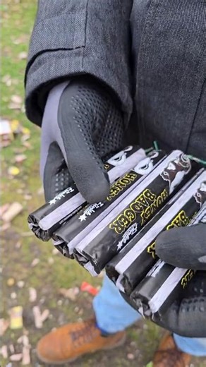 5x Funke Honey Badger | The power of Honey Badger Blackpowder firecracker #shorts #fireworks