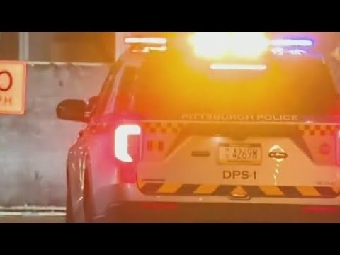 Brawl breaks out after large group of juveniles gather in Downtown Pittsburgh