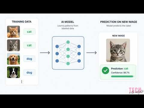 Supervised vs Unsupervised — The Simplest Explanation Ever