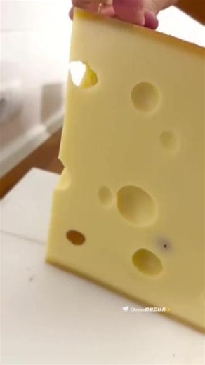 冤枉啊！猫和老鼠同款奶酪🧀那些洞洞居然不是挖出来的！ 《猫和老鼠》里杰瑞心心念念疯狂偷抢的多孔三角奶酪，原型就是瑞士埃曼塔奶酪。好多人以为孔洞是人工凿出来的，其实完全不是！制作发酵过程中，丙酸杆菌会释放二氧化碳，气体在奶酪内部撑开，就形成了圆圆的气孔。孔洞大小一般是樱桃到核桃尺寸，而且孔洞之间互相不连通，属于自然发酵的小惊喜。真正的埃曼塔奶酪巨震撼！整轮直径能达到 80‑100cm，重量