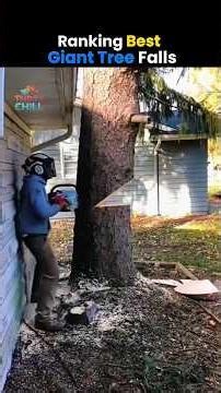 Ranking Best Giant Tree Falls 🌲🔥