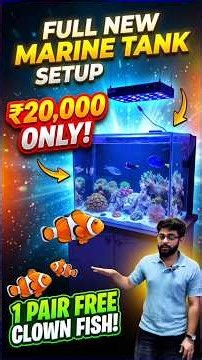 Full Marine Tank Setup for Just 20,000! 🐠 + FREE Clownfish Pair!