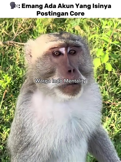 CORE INDONESIAN (@_core.id_)’s video of indonesia