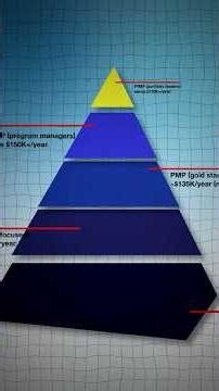 Which PMI Certification EARNS the MOST?