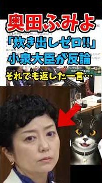 奥田ふみよ「炊き出しゼロ！」小泉大臣が強く反論、その後の返しは…国会が失笑する・・・