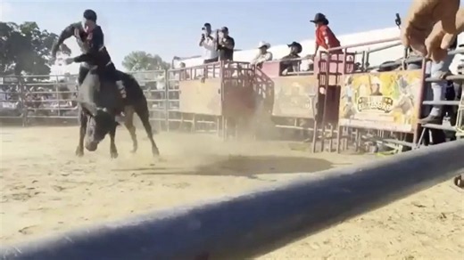 Wild moment bull rider, 25, is trampled in front of horrified crowds