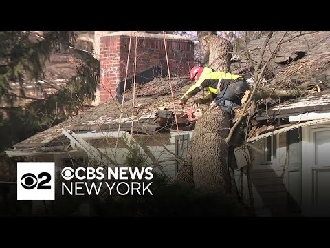 Strong winds topple trees across Tri-State Area