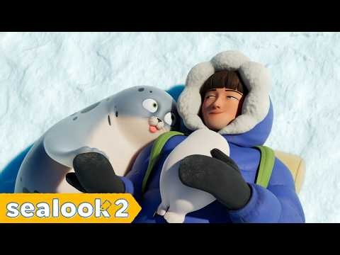 We're SEALOOK Family | Full Story of the Seal Observer | SEALOOK Compilation
