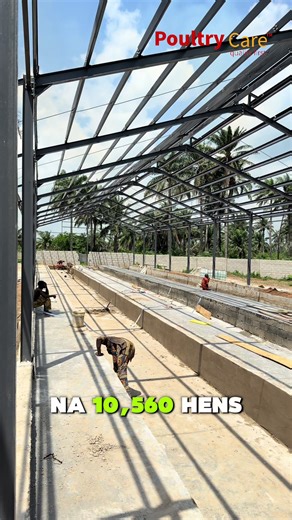 10,560 Hen Capacity Project Explained