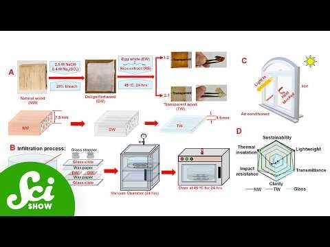 5 Weird Windows of the Future.