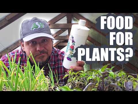 Are Fertilizers Really That Important?