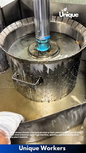 Industrial Processing: Centrifugal Extractor Spinning Liquid from Botanical Roots and Chunks