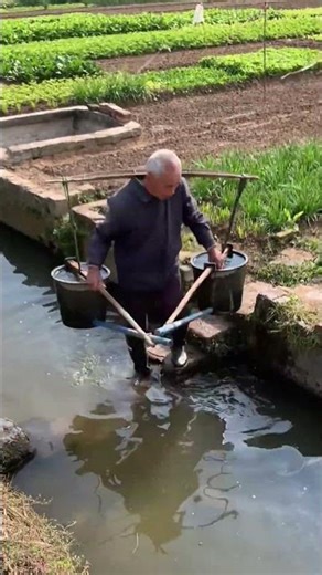 Sieve bucket watering for vegetables: A simple and efficient field irrigation method