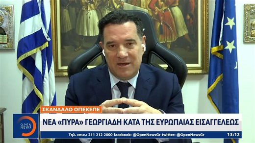 Νέα «πυρά» Γεωργιάδη κατά της Ευρωπαίας Εισαγγελέως