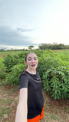 Farm tour: explore daily life on the farm