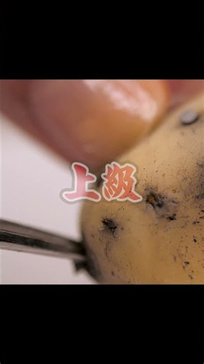 【診断】これ見てイライラ🤬したらドパガキ確定！ #asmr