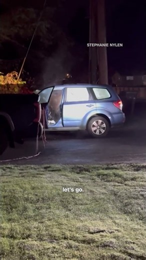 Bear locks itself in a car and destroys interior
