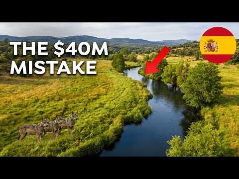 Spain Lost $40M Trying to Fix a Dead River — Then 3 Wolves Walked In and Did It for Free