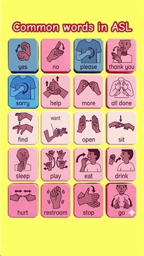 Common ASL Words Everyone Should Know 🤟 | Learn Sign Language Fast #shorts
